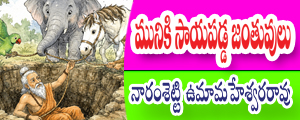 Muniki sayapadda janthuvulu